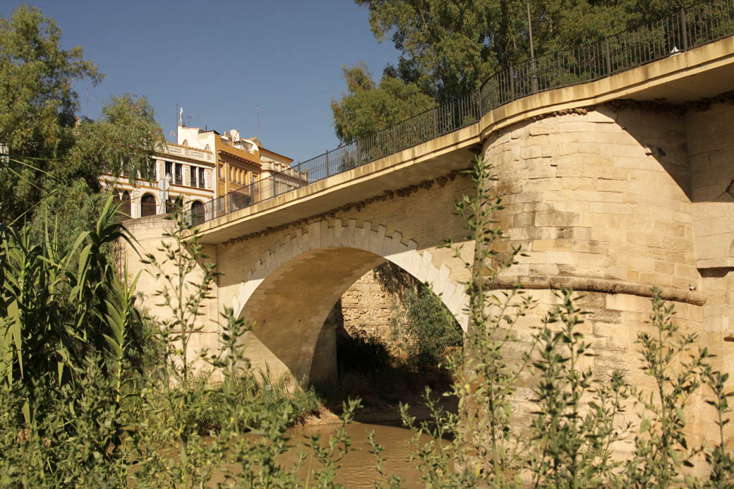 Puente (Puente Genil)